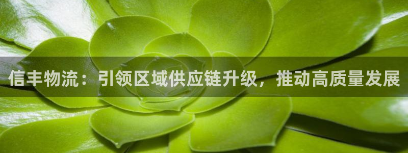 豪门国际加拿大是什么：信丰物流：引领