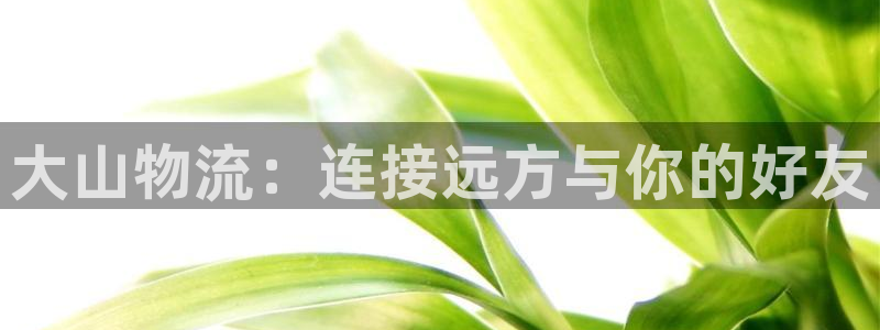 豪门国际玩法：大山物流：连接远方与你