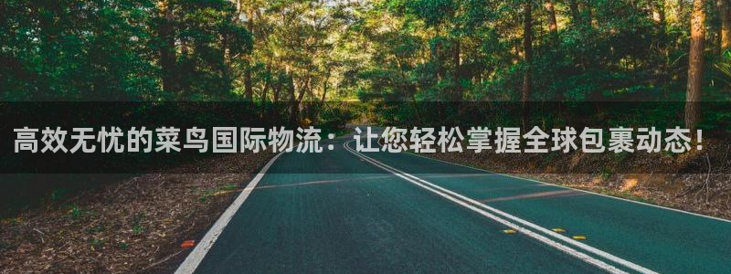 豪门国际官网下载多少：高效无忧的菜鸟