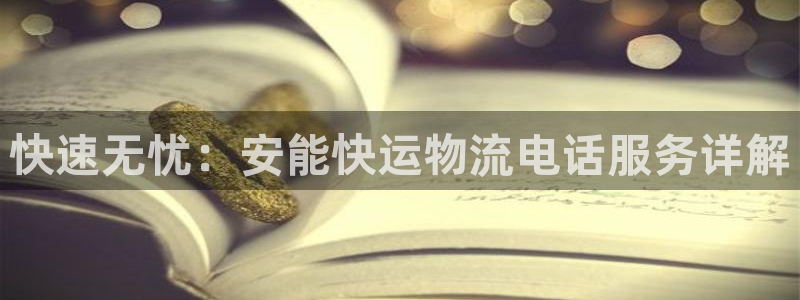 豪门国际注册链接：快速无忧：安能快运