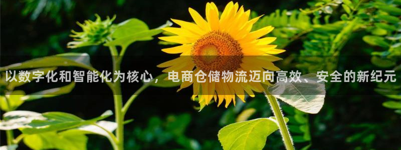 豪门国际黑吗：以数字化和智能化为核心