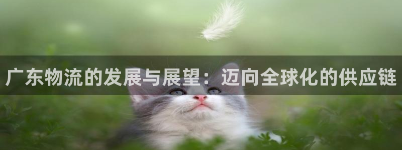 豪门国际最稳打法：广东物流的发展与展