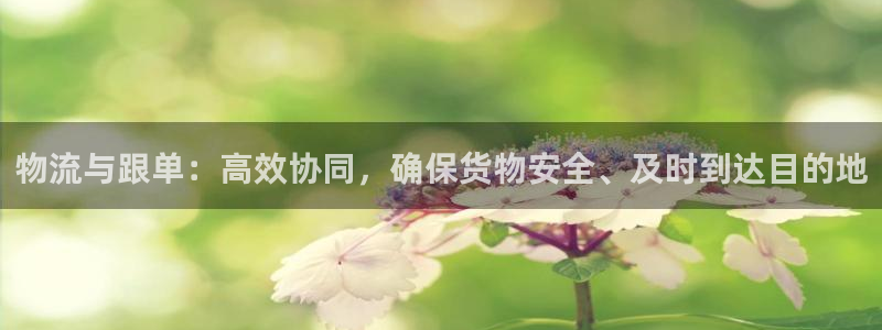 豪门国际娱乐官网网页入口：物流与跟单