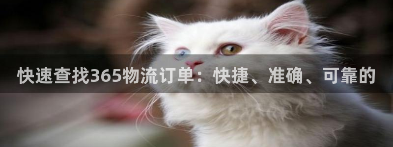 豪门国际里的财神：快速查找365物流