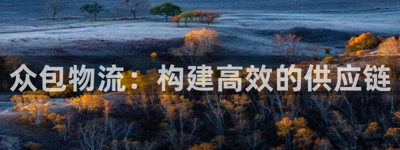 豪门国际下载不了：众包物流：构建高效的供应链