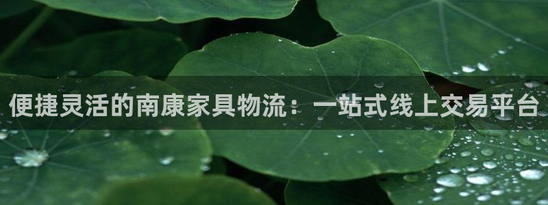 豪门国际下载不了：便捷灵活的南康家具
