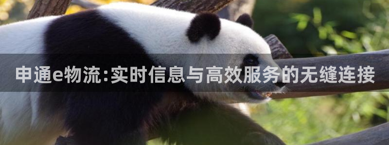 豪门国际相信品牌的力量