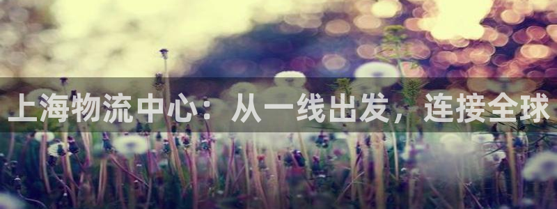 豪门国际登录用户名登录不上：上海物流中心：从一线出发，连接全