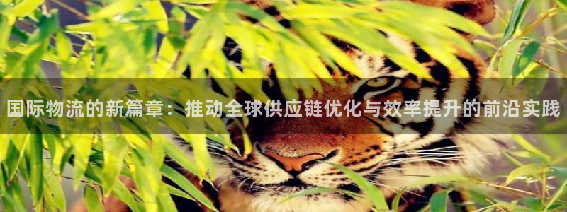 豪门国际app赢了500万：国际物流