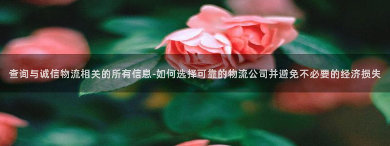 豪门国际pg麻将胡了2老是空转：查询与诚信物流相关的所有信息
